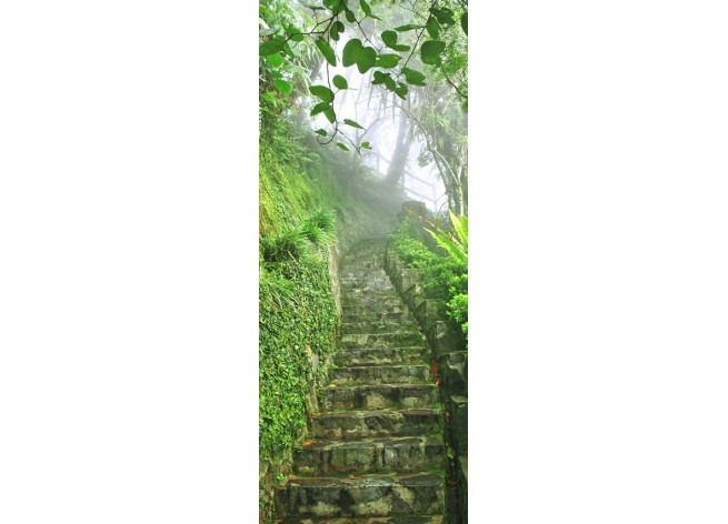 Наклейка на дверь Лестница в туманный тропический парк
